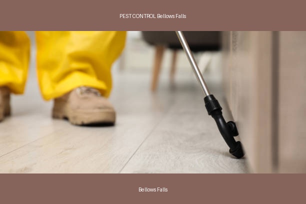 PEST CONTROL Bellows Falls